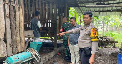 Pencurian 11 Ekor Kambing Terjadi di Desa Pagelaran, Polsek Ciomas Lakukan Investigasi Penyelidikan Lebih Lanjut